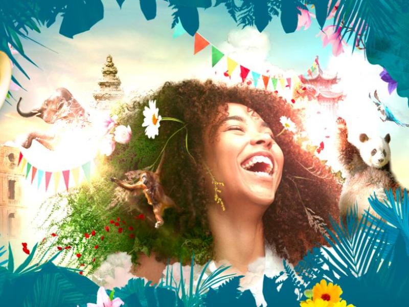 Musique latino à Pairi&nbsp;Daiza